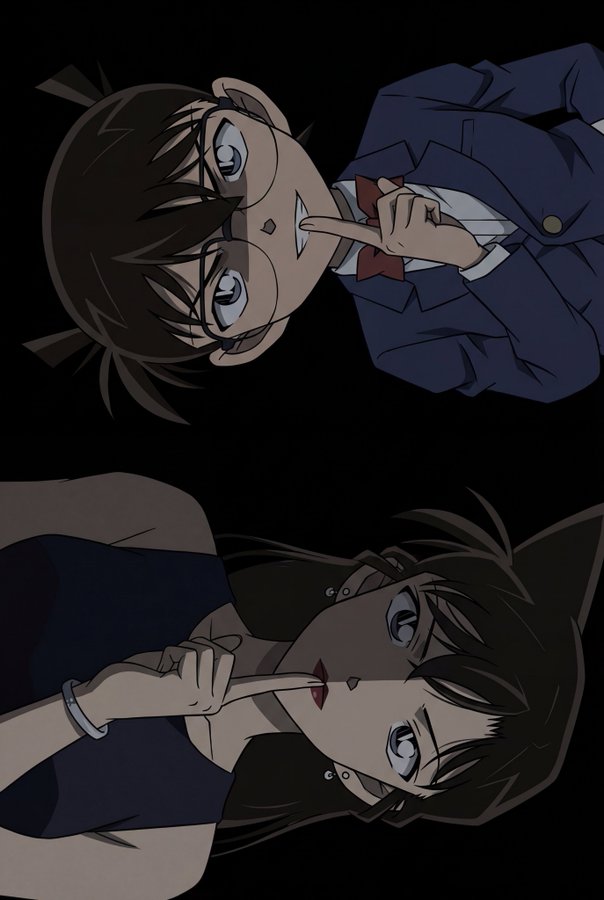 Kudo Shinichi and Mouri Ran