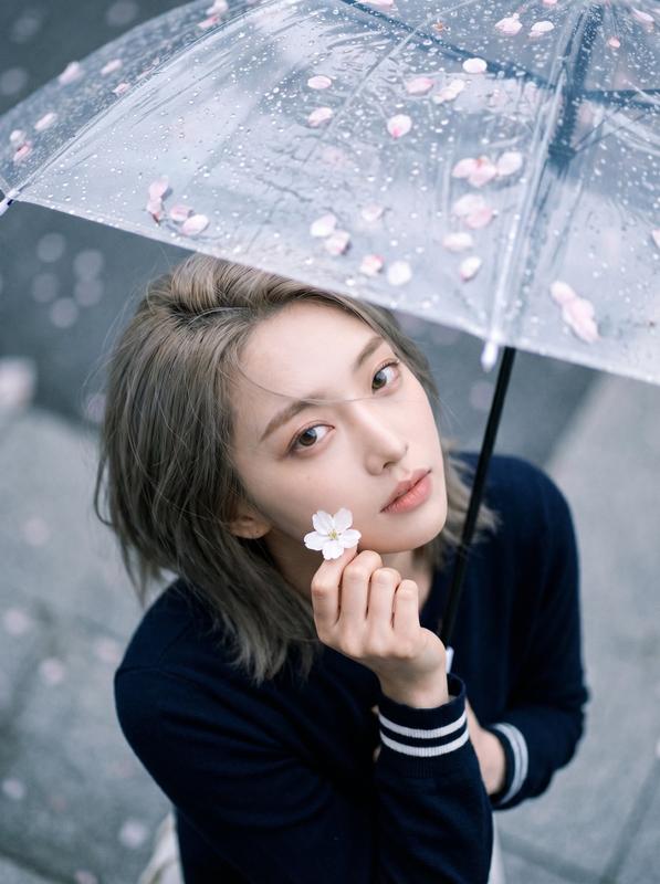 Rainy Day Transparent Umbrella Cherry Petal Top-Down Portrait